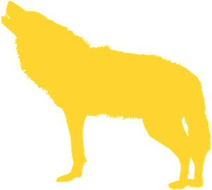Golden Wolf Silhouette PNG