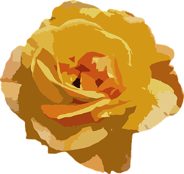 Golden Yellow Rose Vector Art PNG