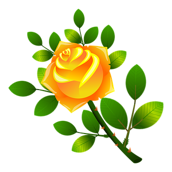 Golden Yellow Rose Vector Illustration PNG