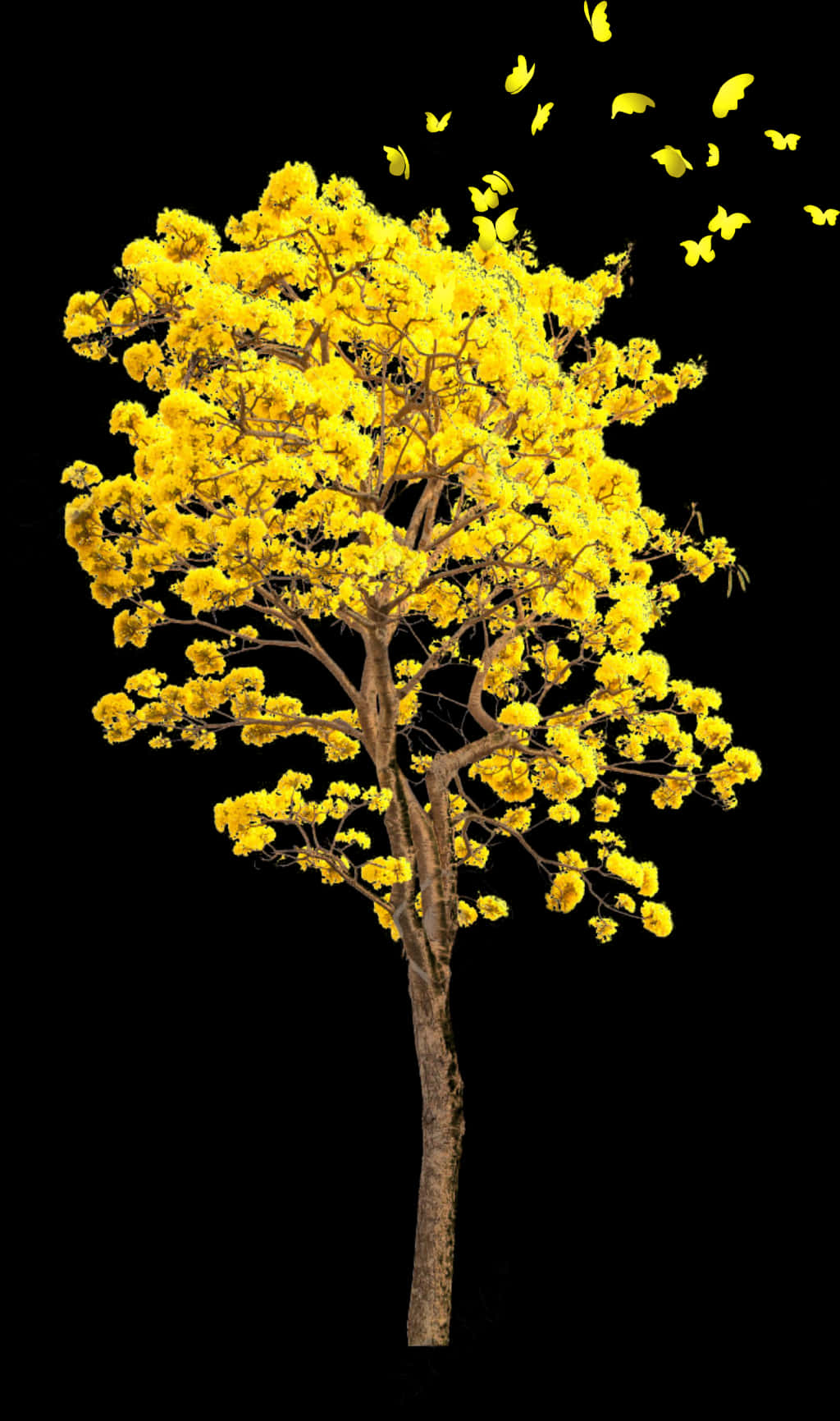 Golden Yellow Tree Butterflies Black Background PNG