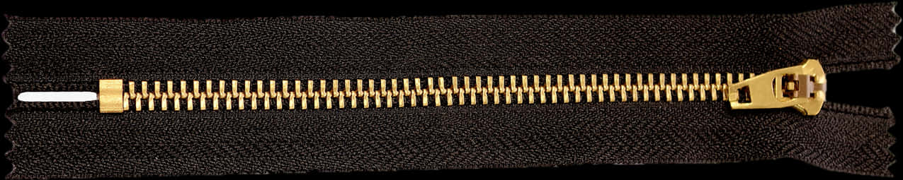 Golden Zipperon Black Fabric PNG