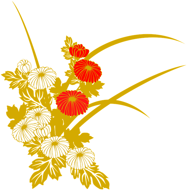 Golden_ Chrysanthemum_ Illustration PNG