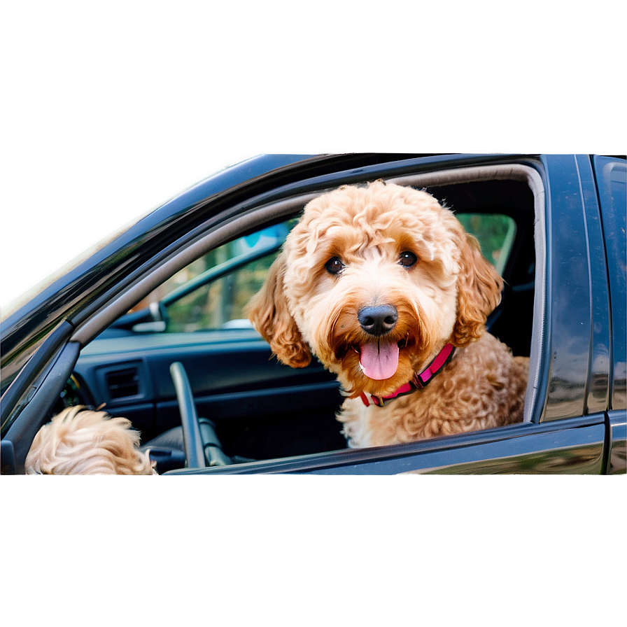 Goldendoodle In Car Png 78 PNG