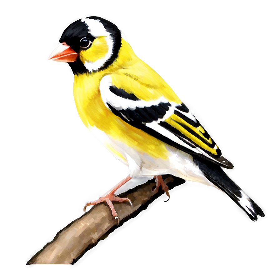 Goldfinch Bird Yellow Png 05032024 PNG