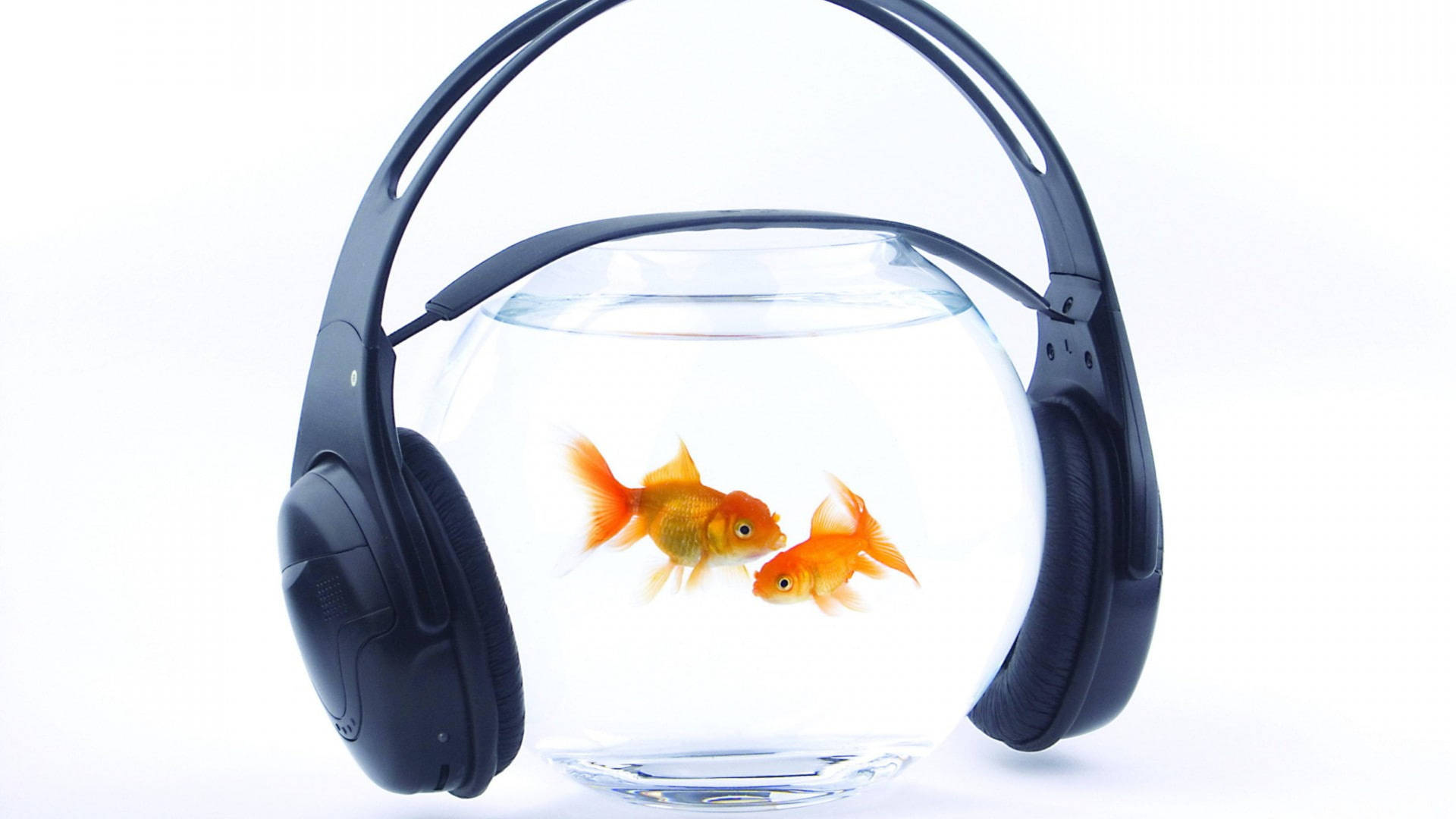 Goldfish Bowl With Headphones