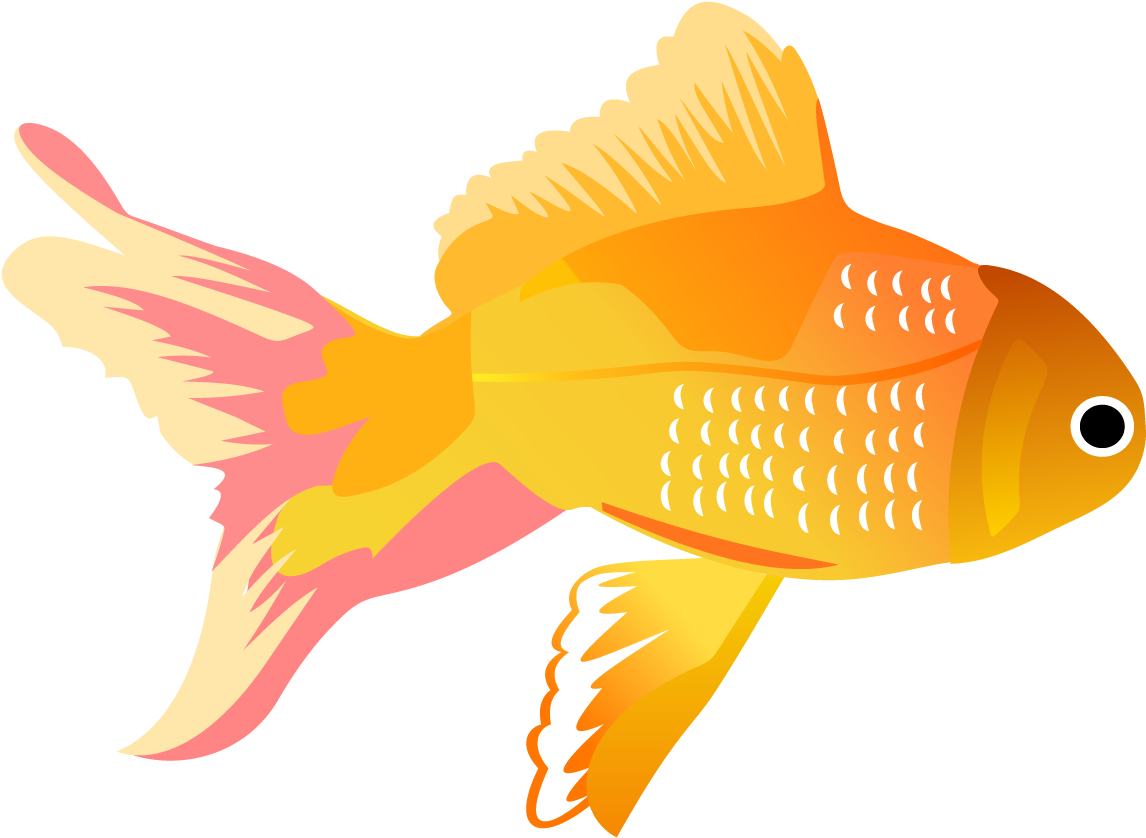 Goldfish Illustration Vector Art PNG