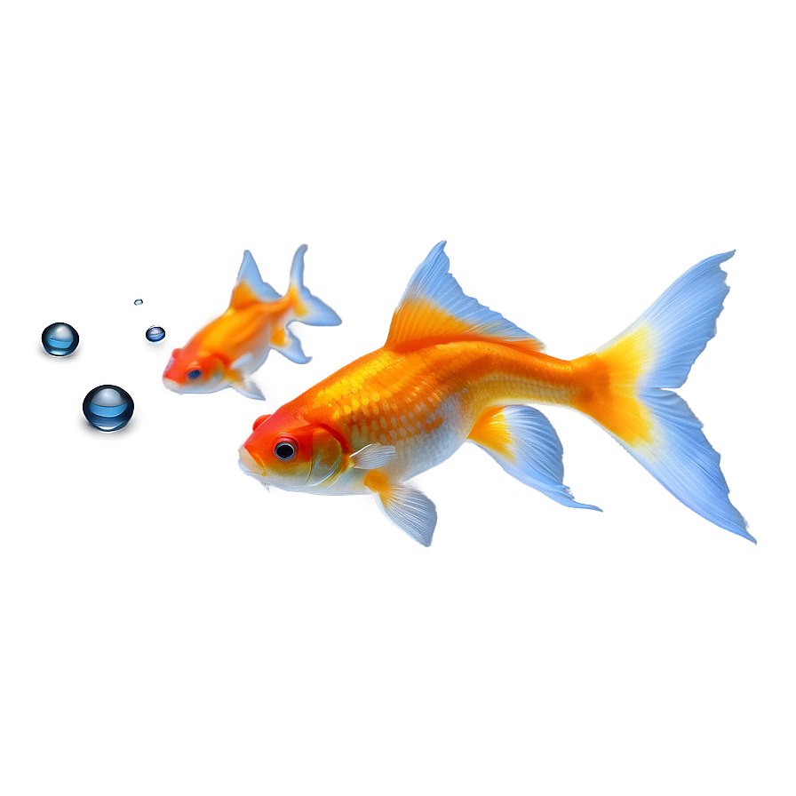 Goldfish In Motion Png Mrs34 PNG