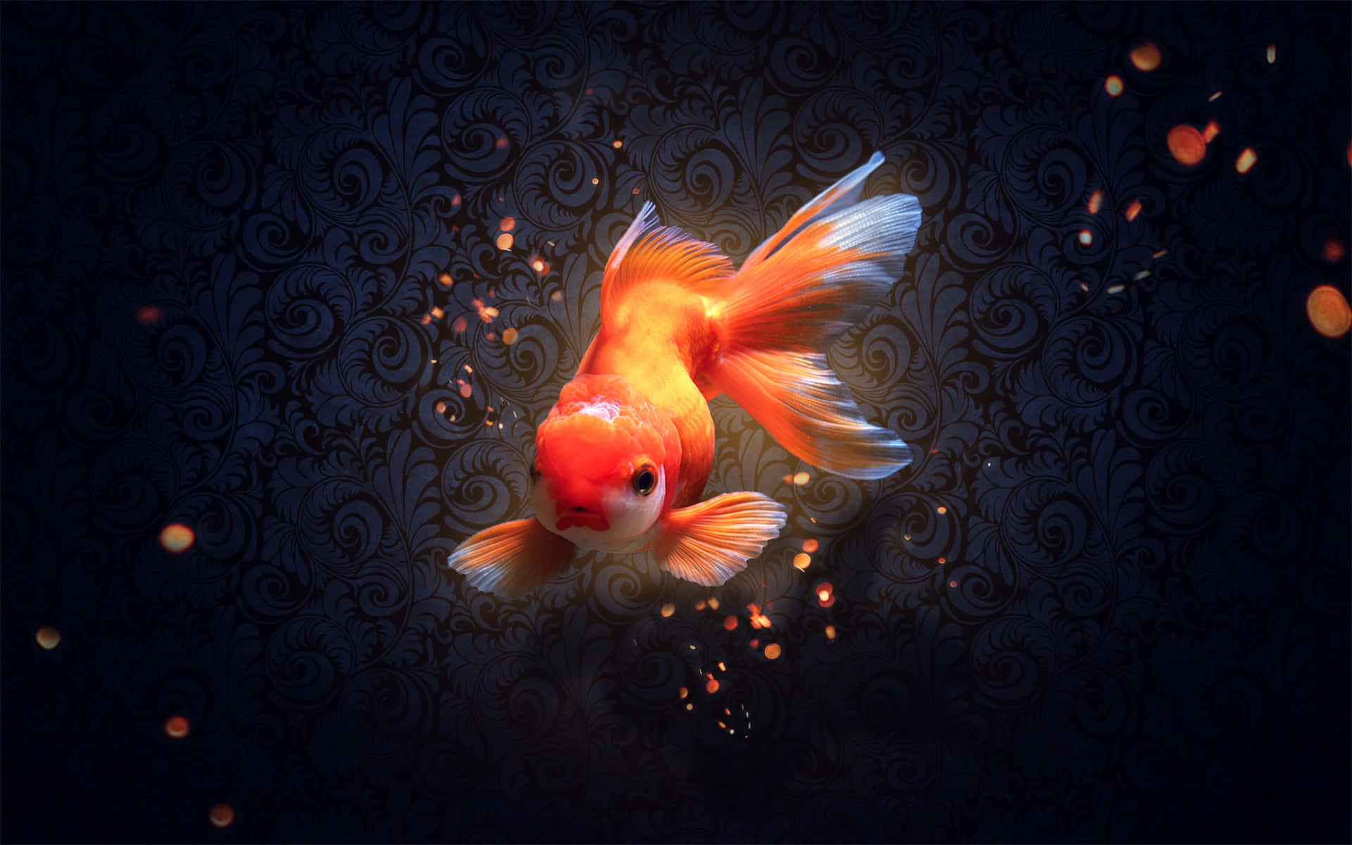Colorful goldfish enjoying life in a pond
