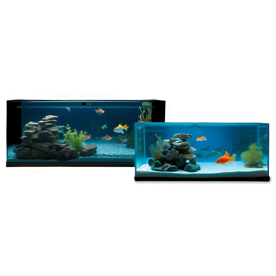 Goldfish Tank Png 88 PNG