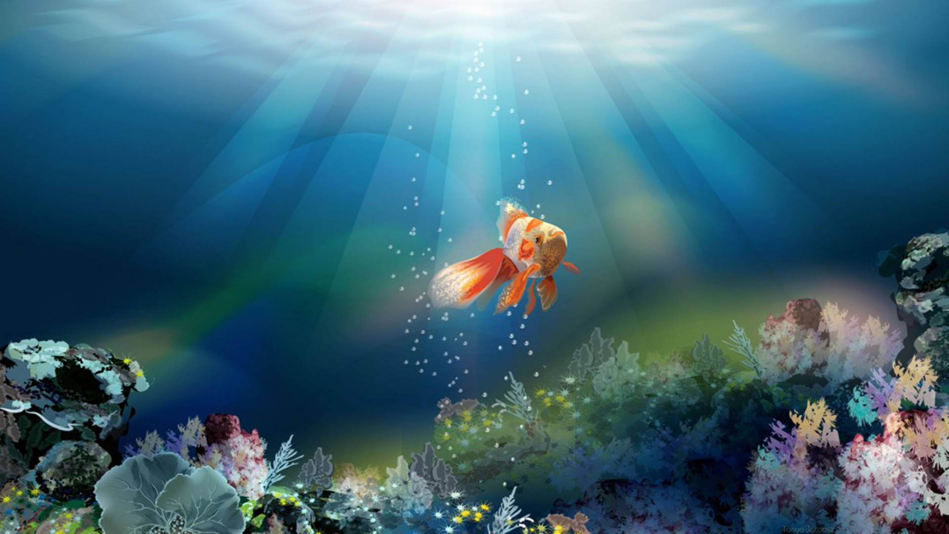 Goldfish Underwater Live 3d Picture