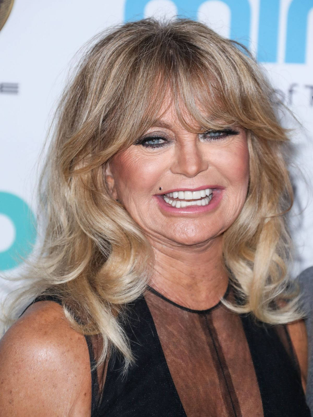 Goldie Hawn Celebrity Blonde Wallpaper