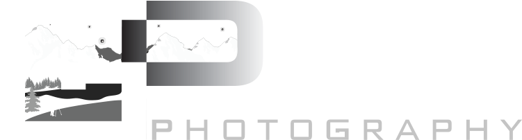 Goldpaint Photography Logo PNG