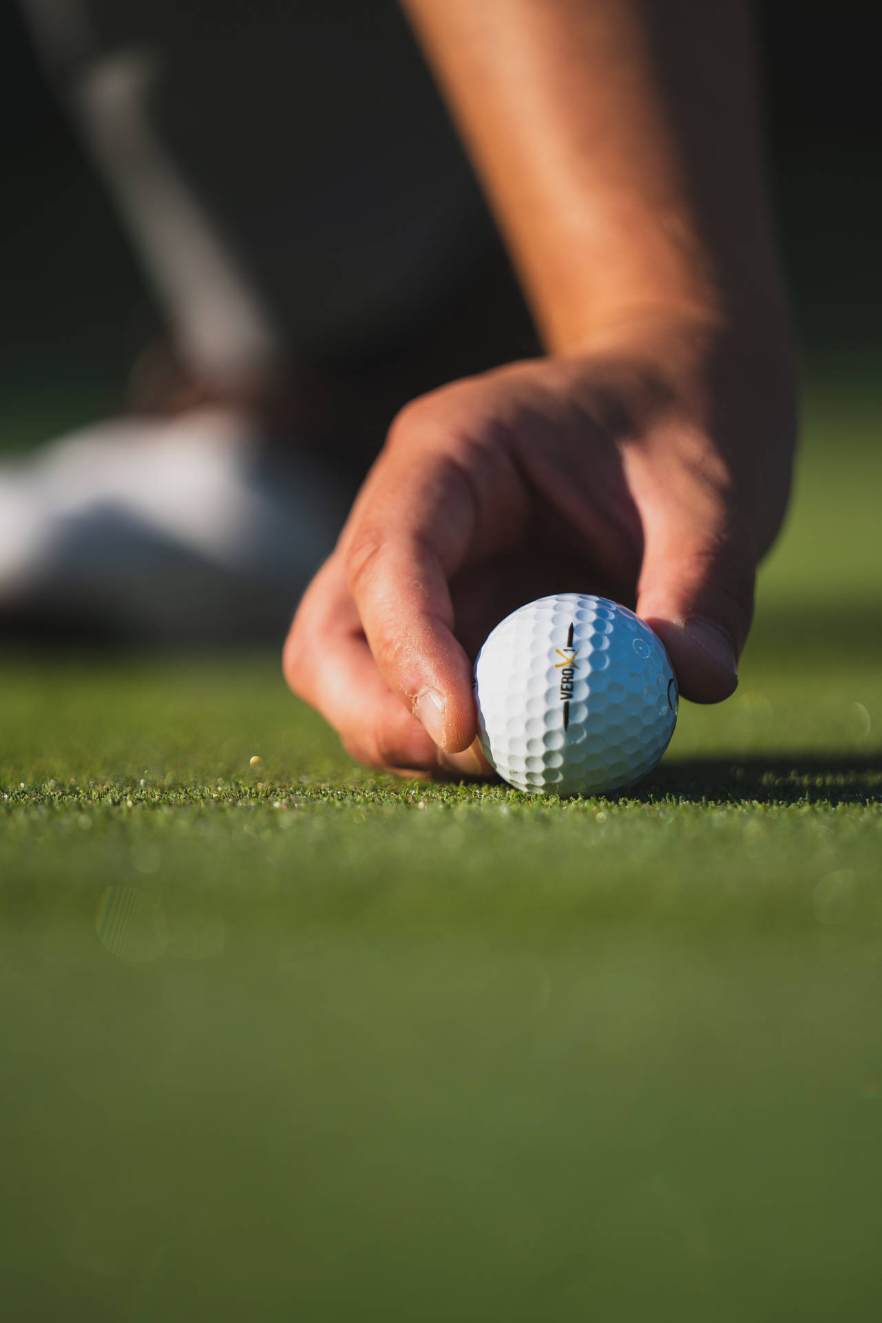 Golf, Ball, Hand, Fingers, Grass, Sport