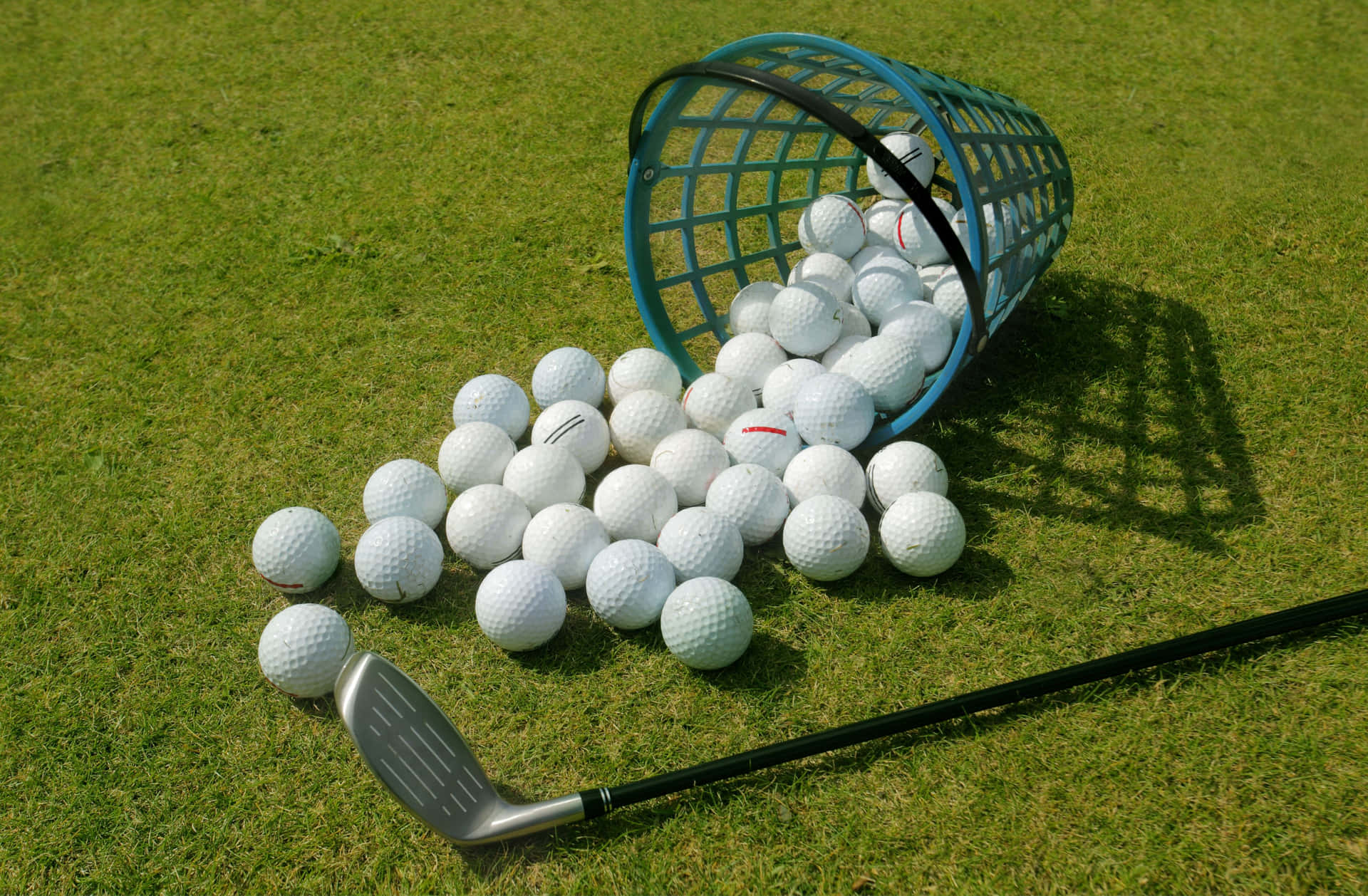 Start Your Golf Journey with a Golf Club