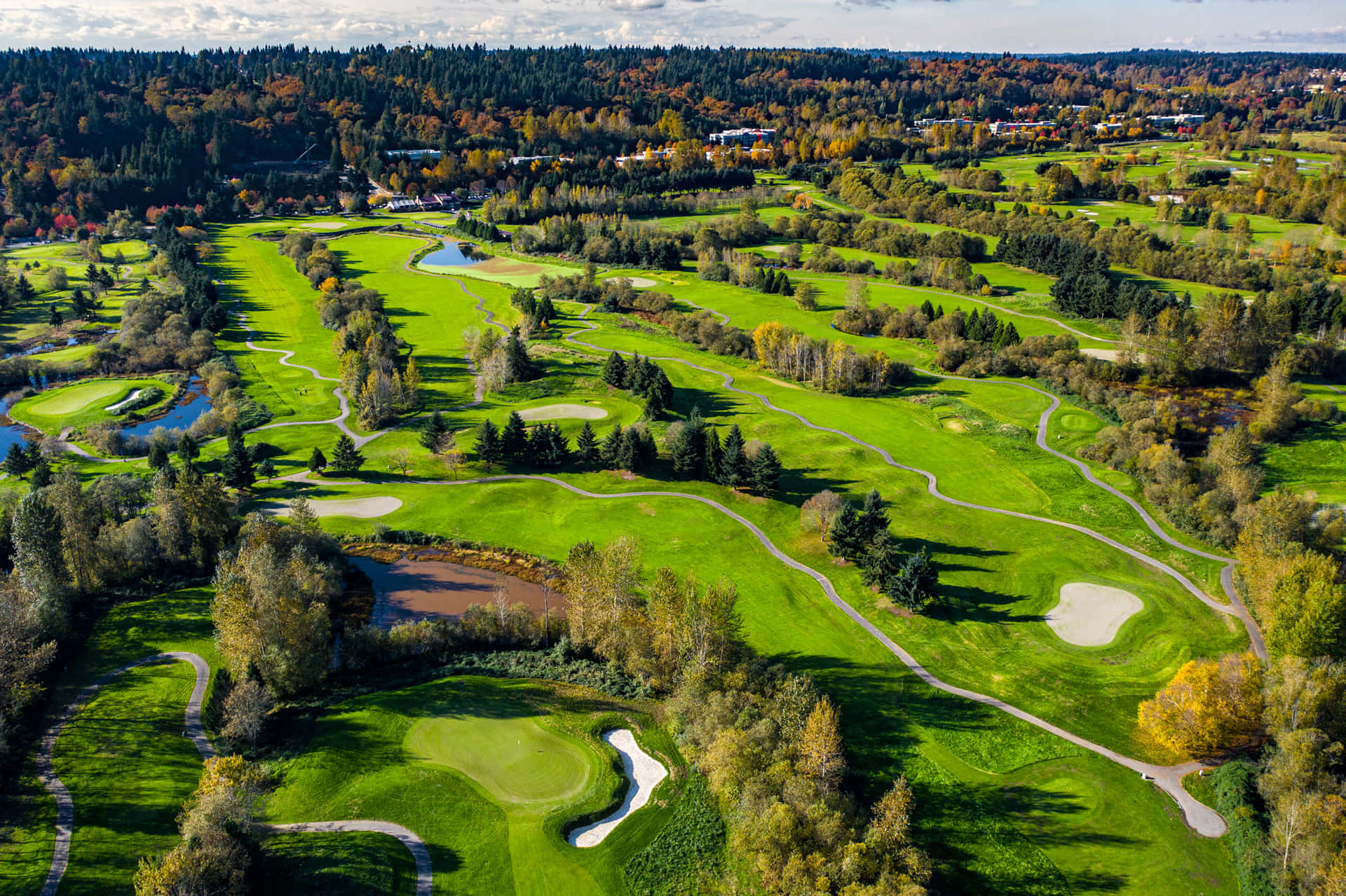 Serene Golf Course with Pristine Green Wallpaper