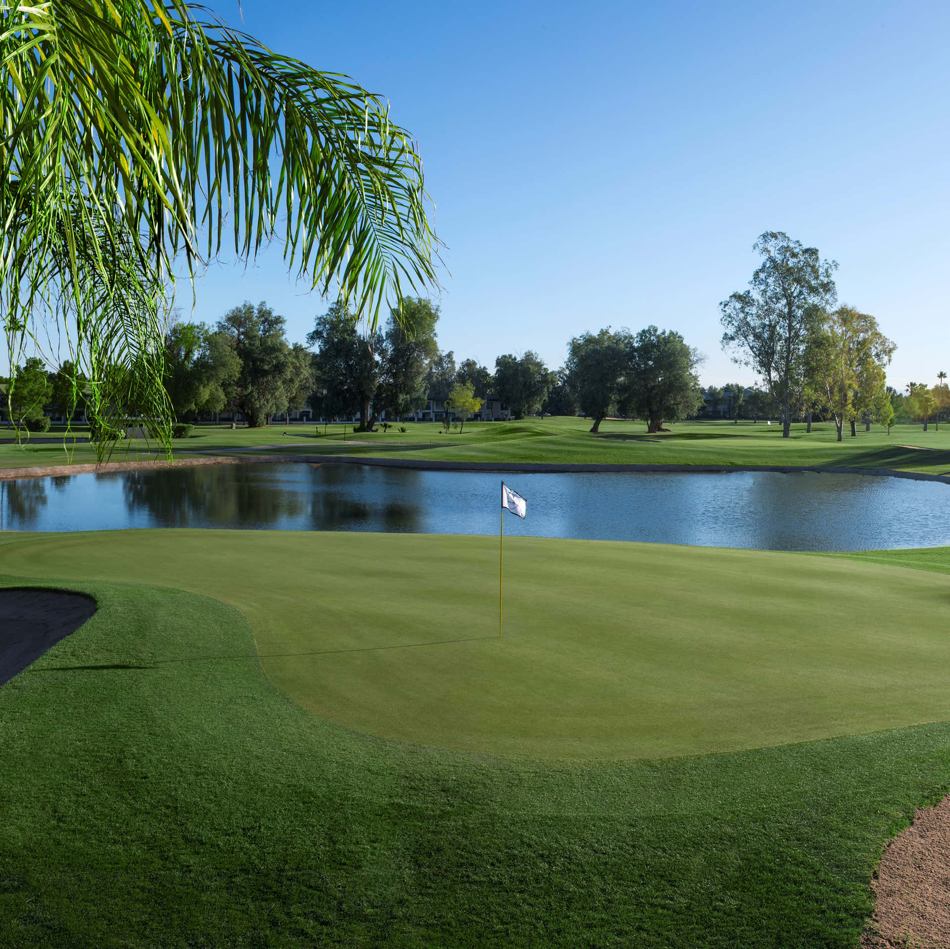 Betoverende Golfgreen Met Heldere Blauwe Lucht Achtergrond