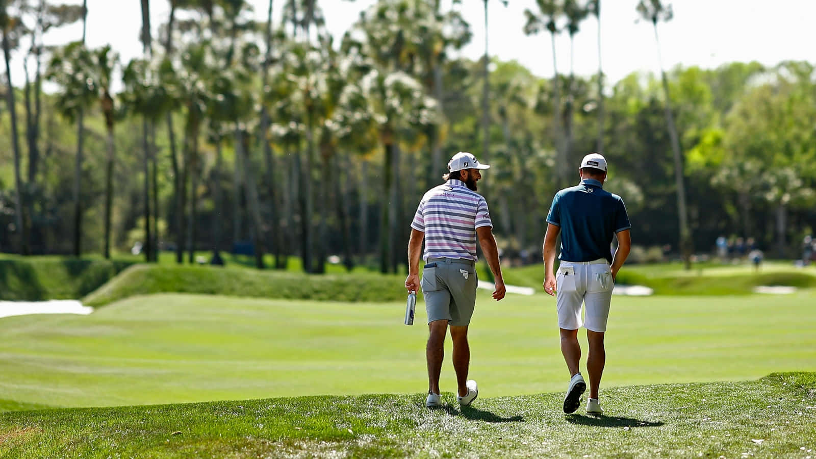 Golfere Går På Fairwayen Under The Players Championship Bakgrunnsbildet