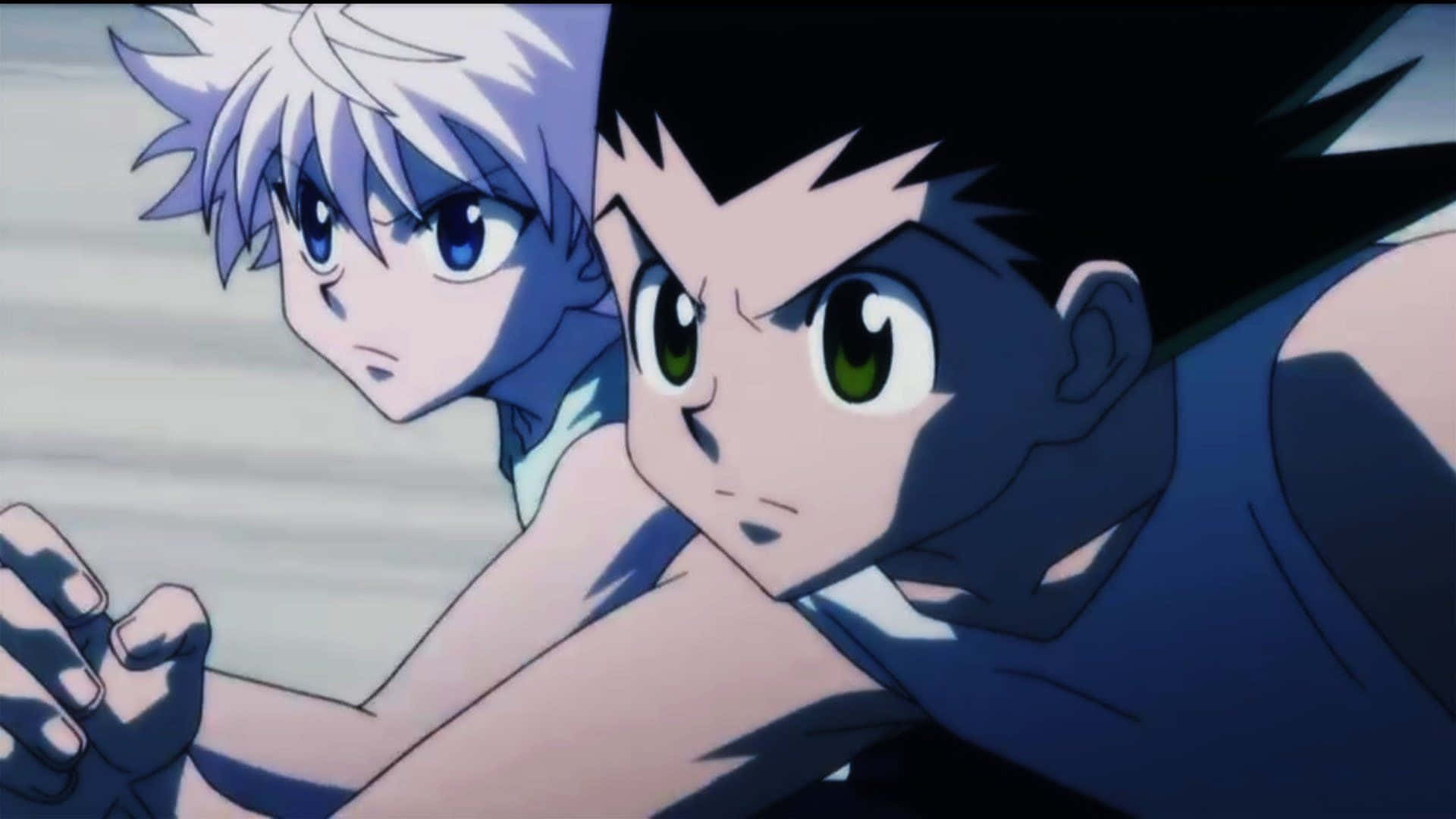 Tag Team Duel - Killua and Gon Fight Together Wallpaper