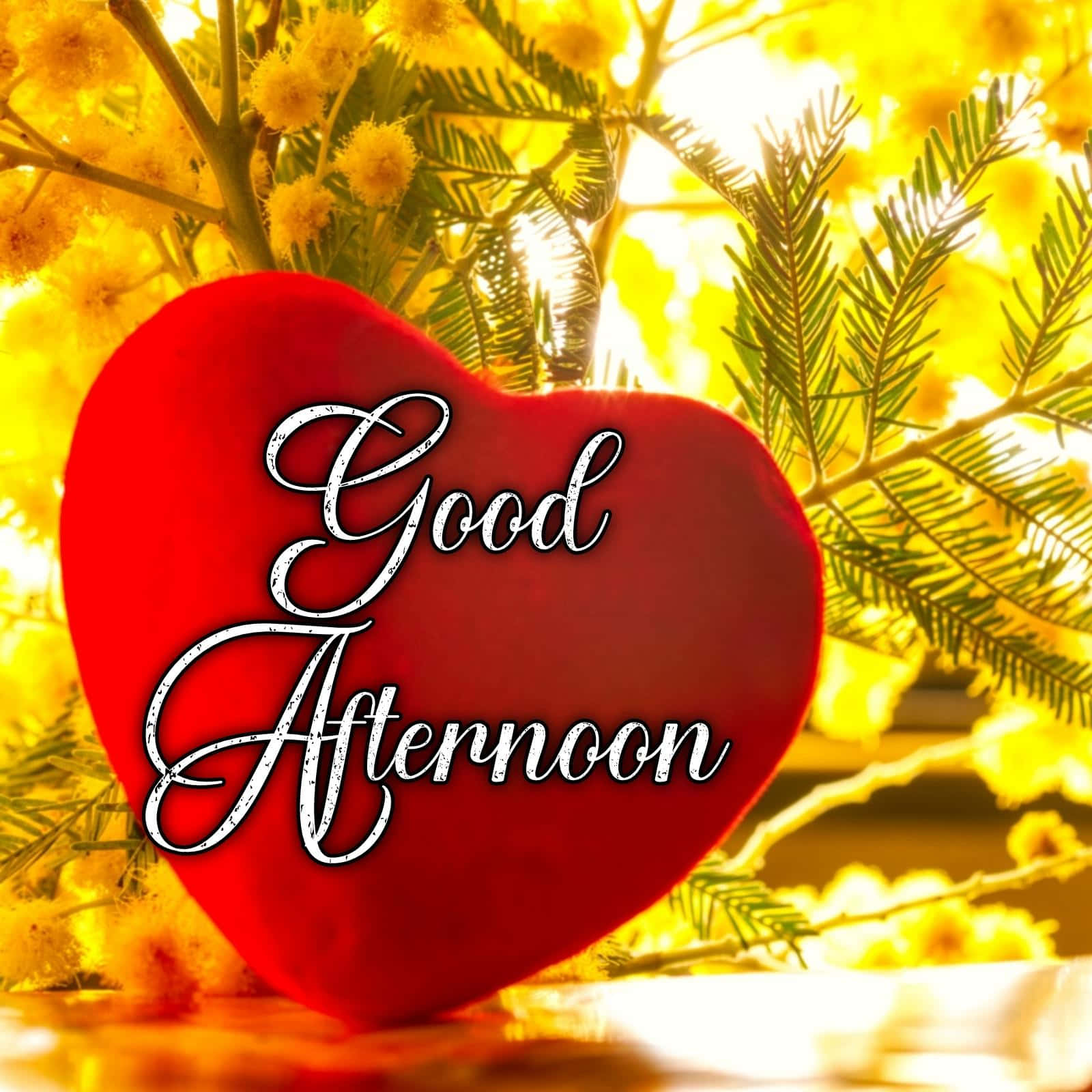 Good Afternoon Autumn Love Heart Picture