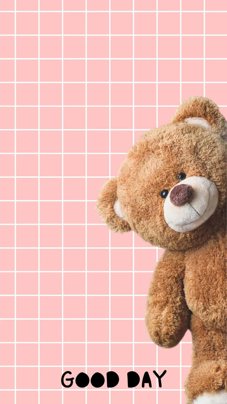 Beruang Teddy Hari Baik Di Latar Belakang Pink Wallpaper