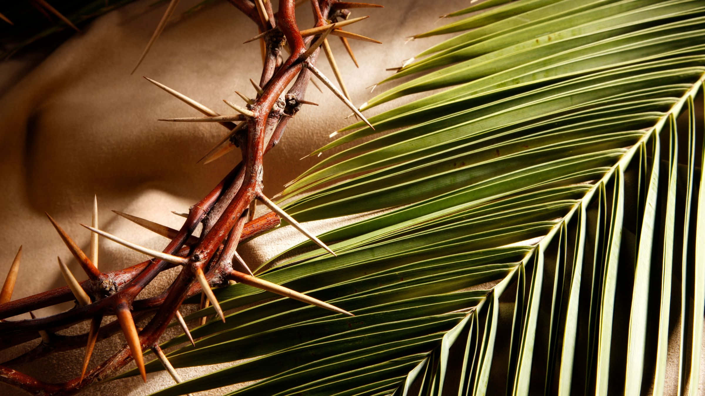 A Crown Of Thorns Is Placed On A Palm Leaf