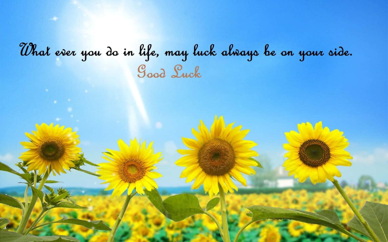 Make your own luck.