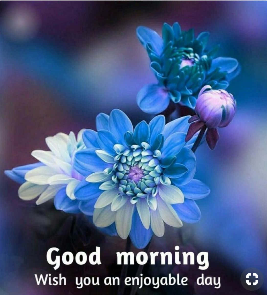 Good Morning Blue Flower Picture