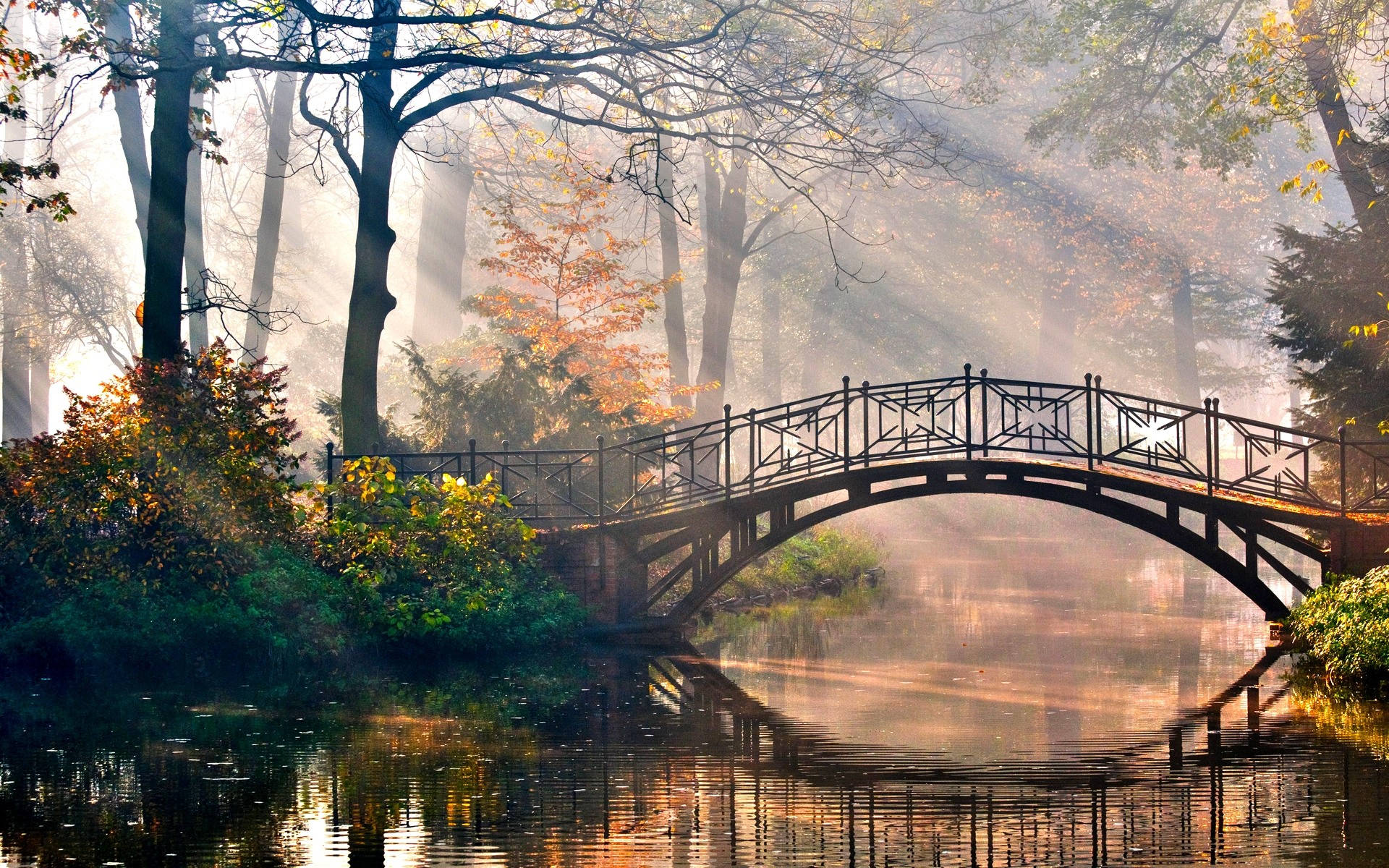 Good Morning Bridge Landscape Wallpaper