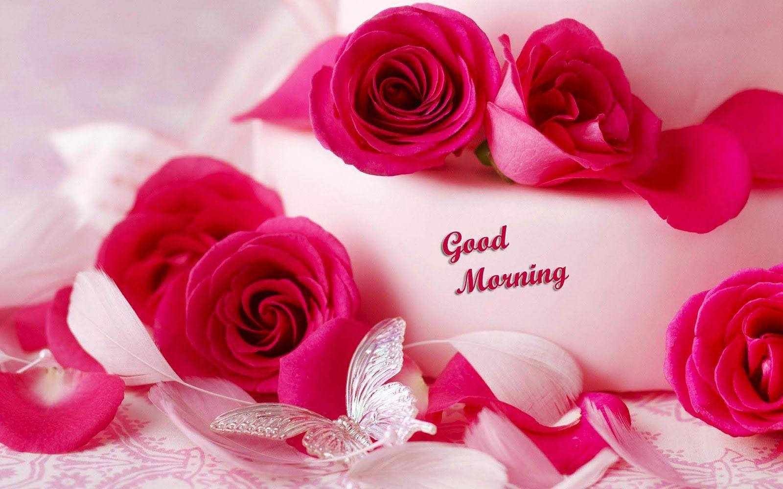 Good Morning HD Bright Pink Roses Wallpaper