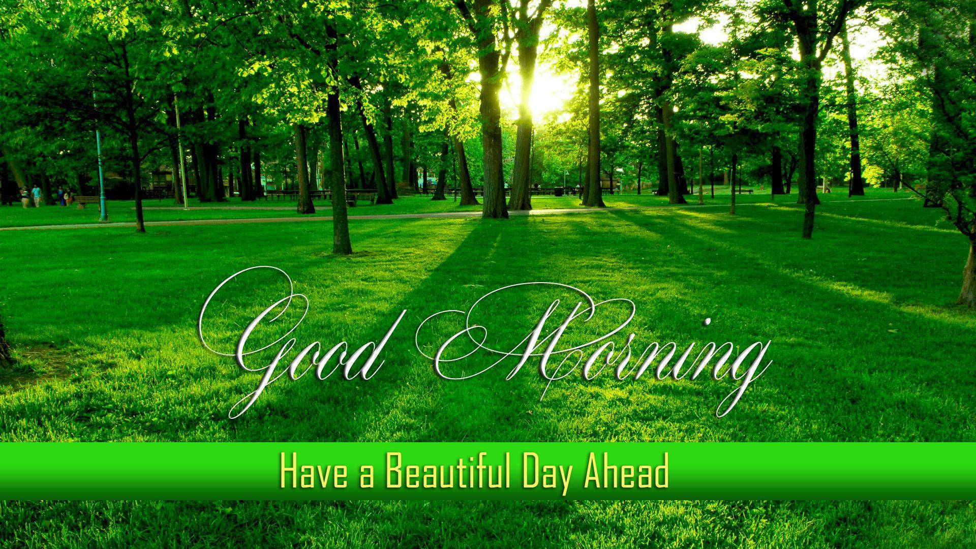 Good Morning HD With Greenery Wallpaper