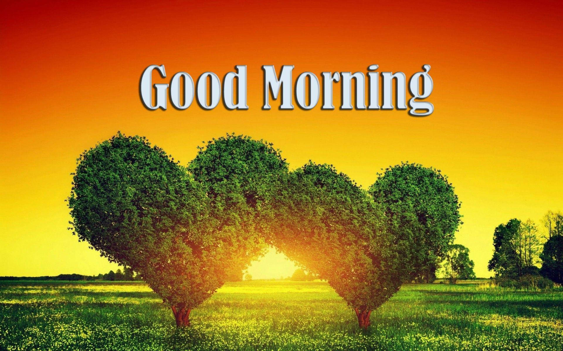 Good Morning HD With Heart Trees Wallpaper