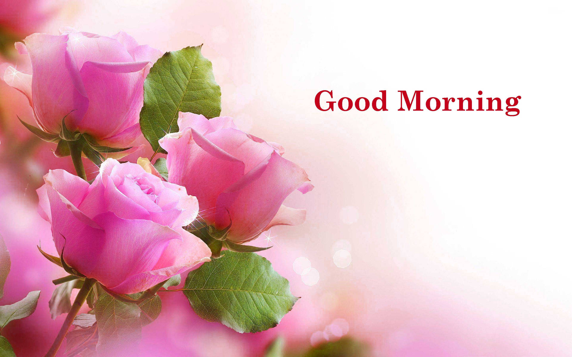 Good Morning HD With Pink Flowers Wallpaper