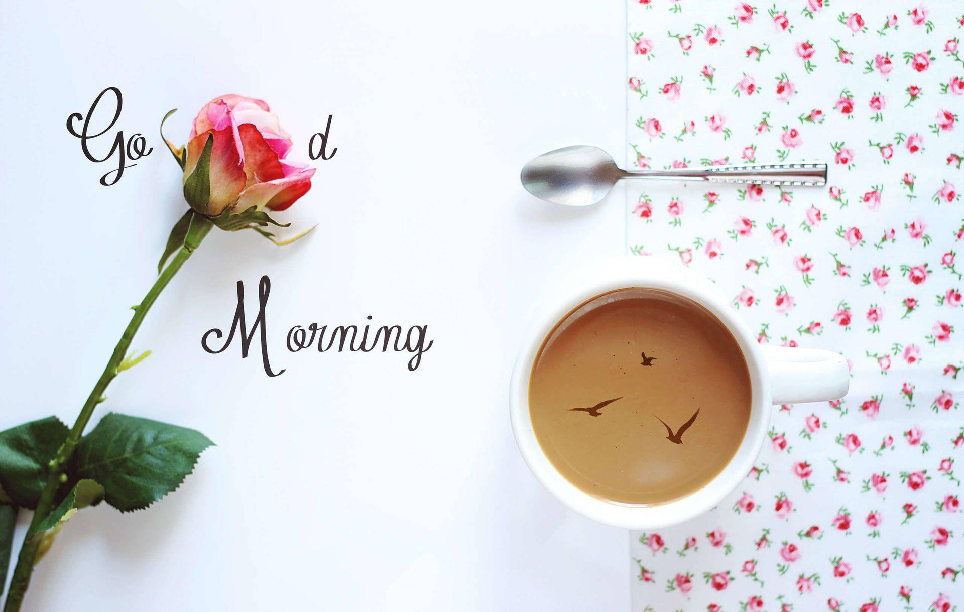 Download Good Morning Hd With Rose Wallpaper 