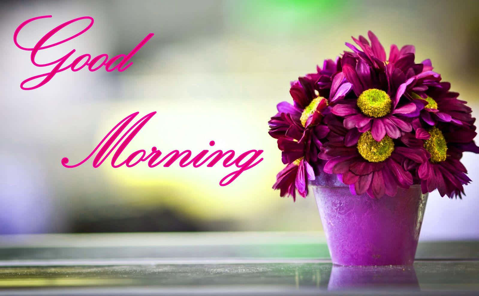 Download Good Morning Purple Pot Picture | Wallpapers.com