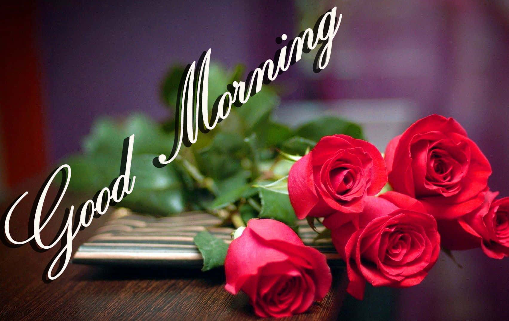 Good Morning Rose Flower Picture