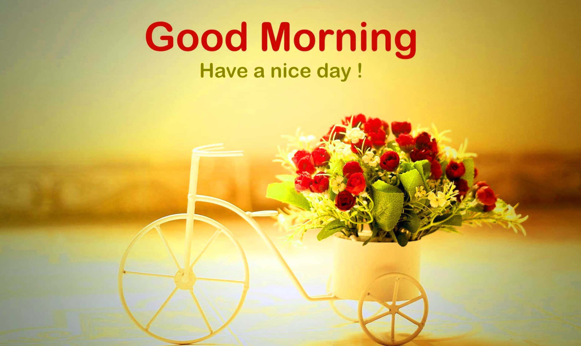 Good Morning Yellow Background Picture