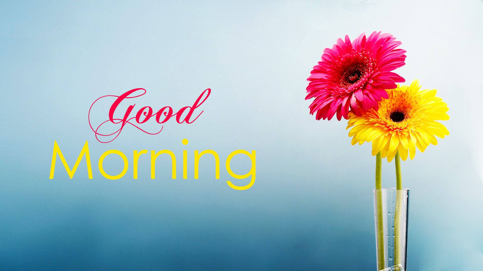 Start your day with a good morning and some encouraging flowers. Wallpaper