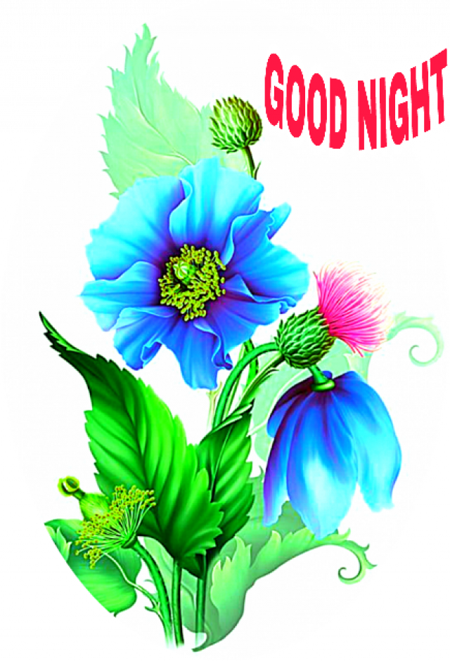 Good Night Floral Greeting PNG