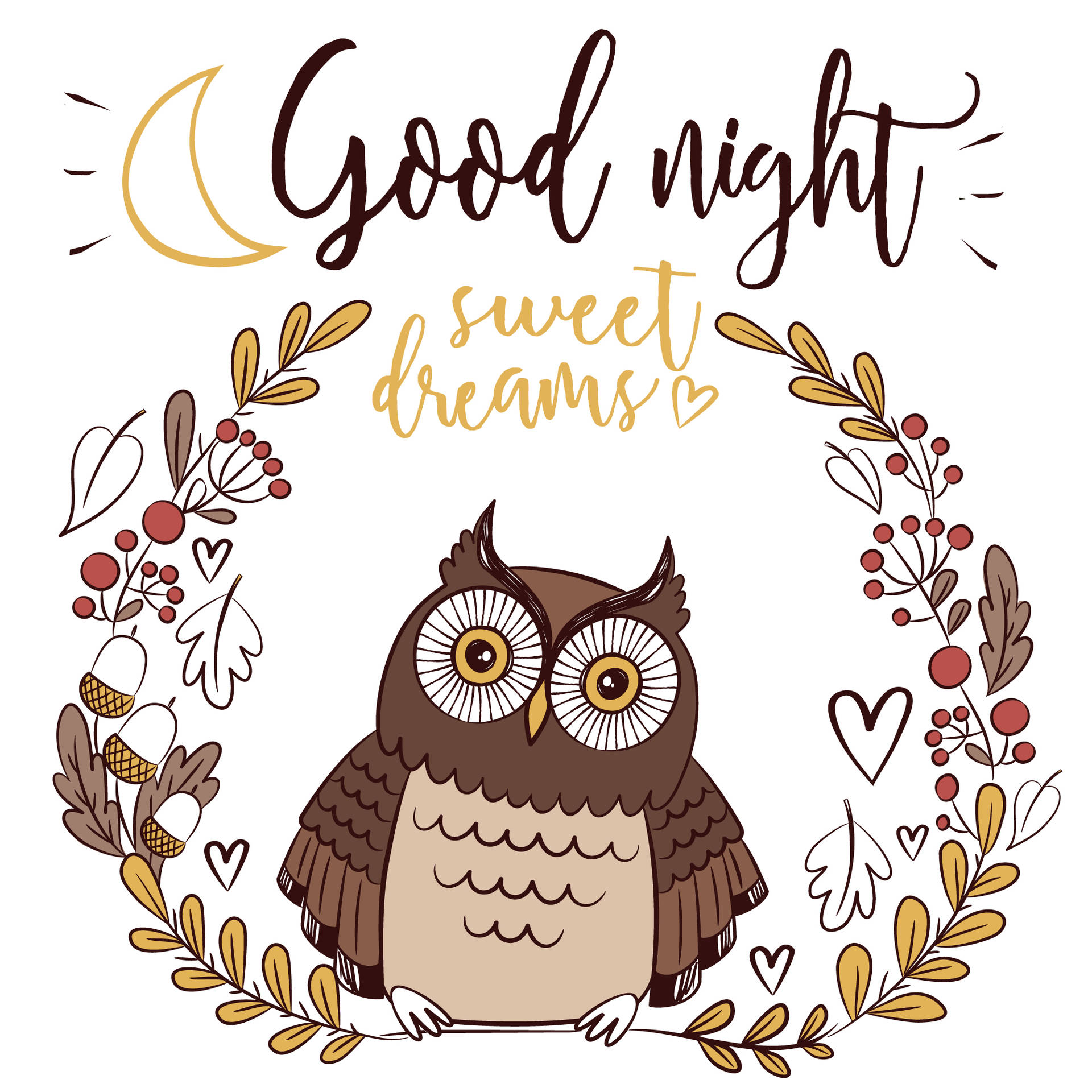 Good Night Owl Wallpaper
