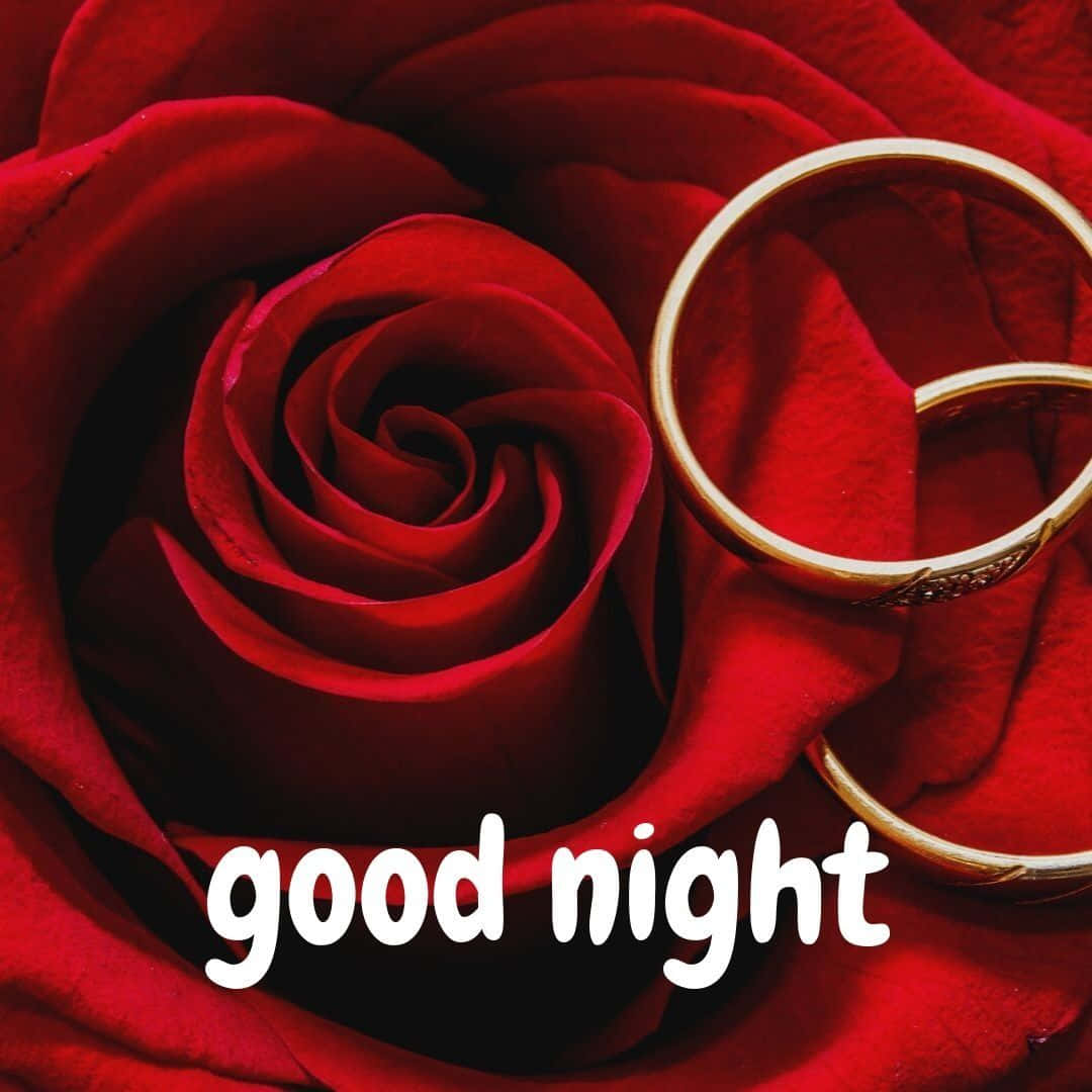 Good Night Roseand Rings Wallpaper