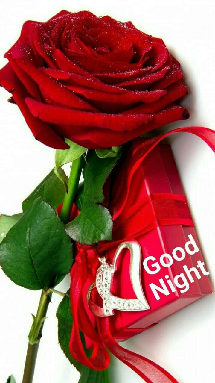 Good Night Rosewith Gift Box Wallpaper