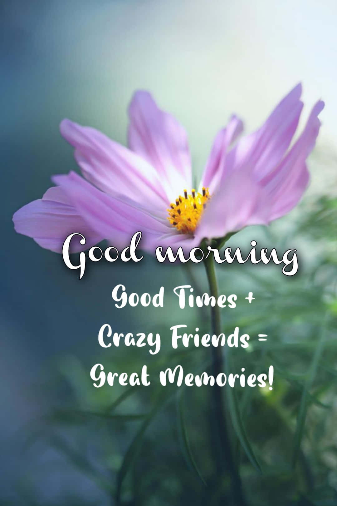 Good Morning Good Times Crazy Friends Great Memories