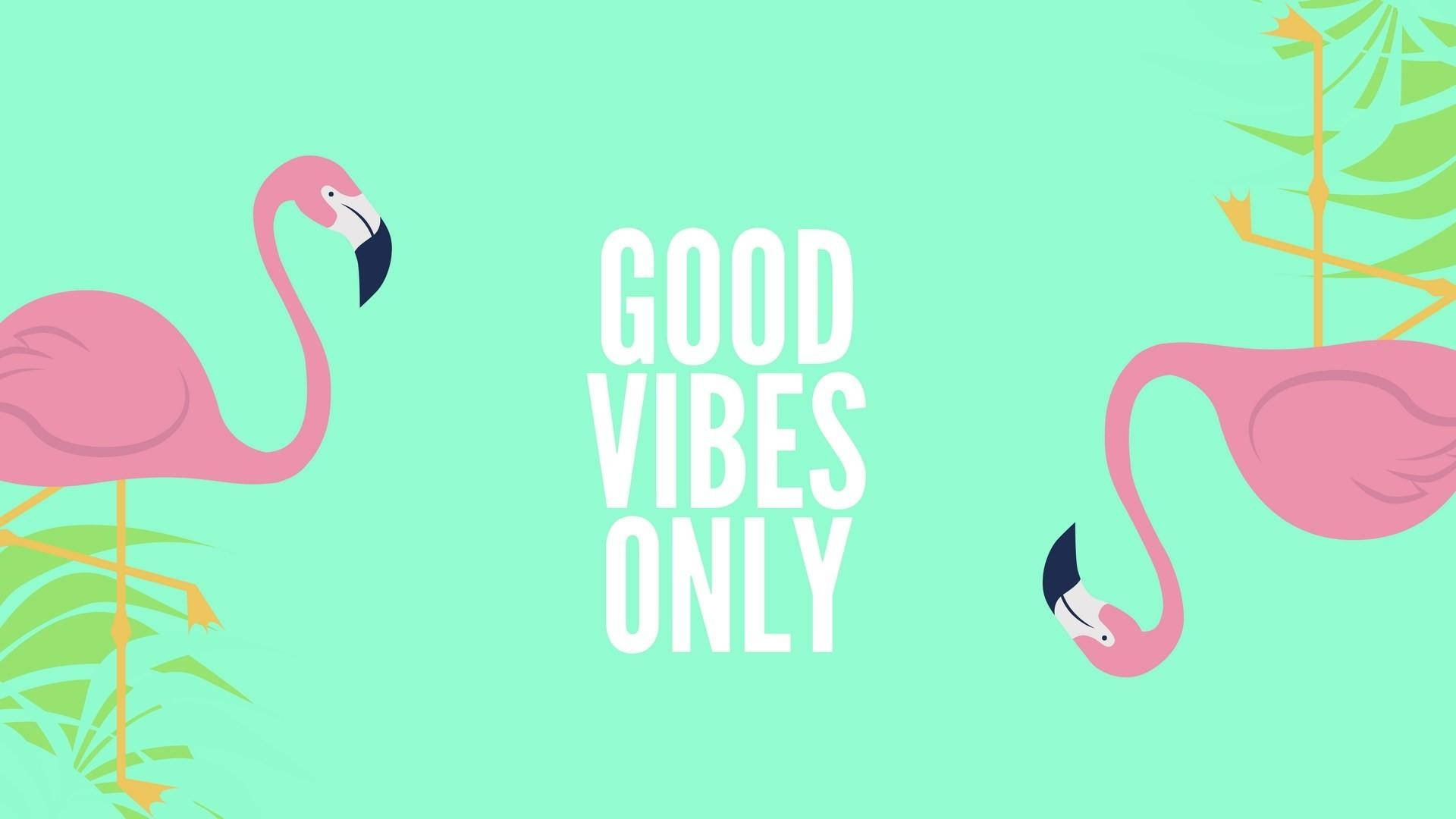 Good Vibes Only With Flamingo Wallpaper