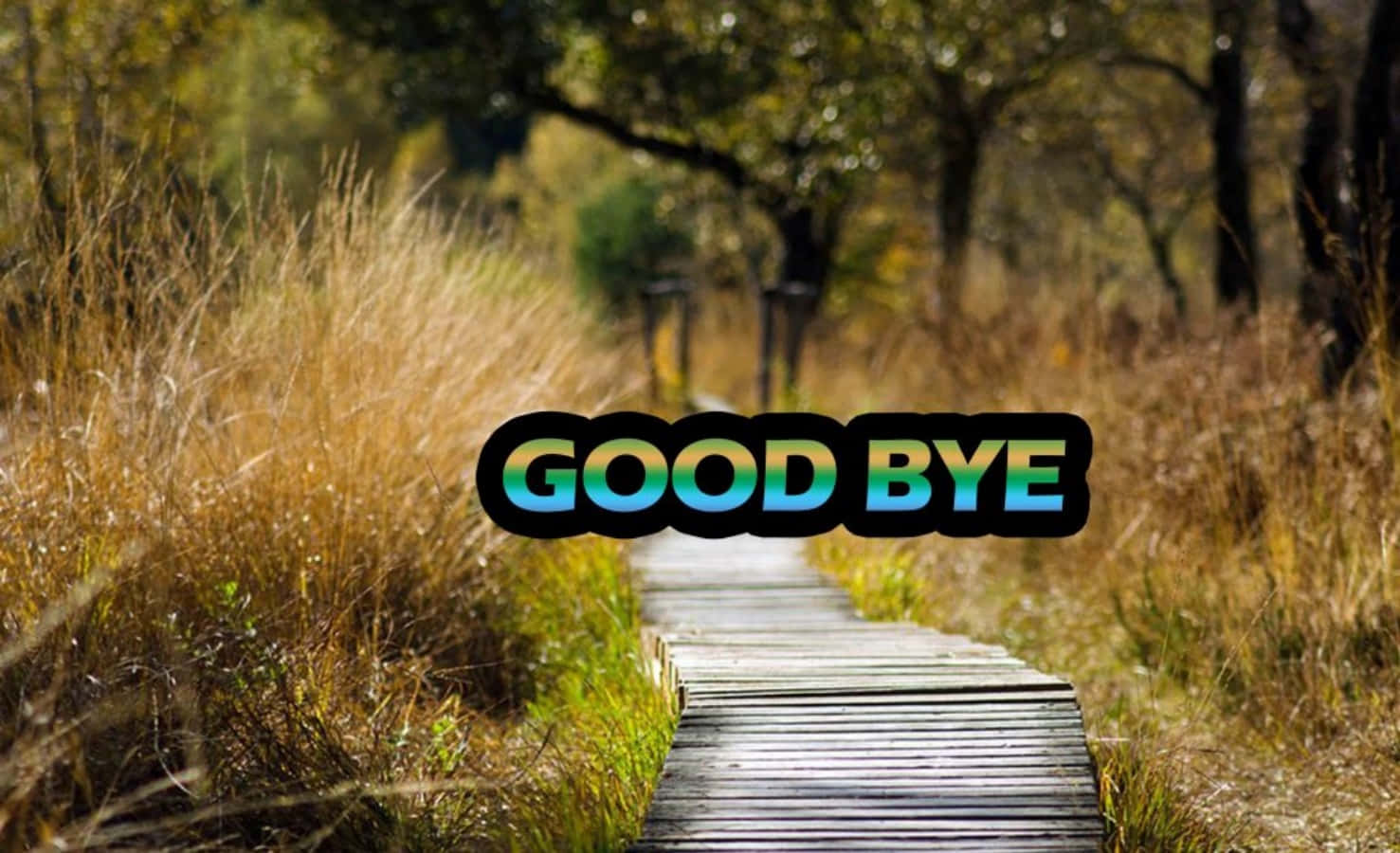 Saying goodbye is never easy