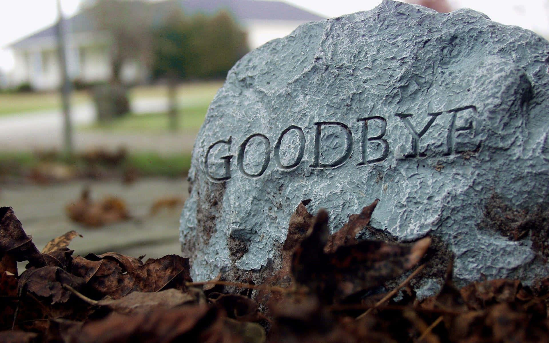 A Stone With The Word Goodbye
