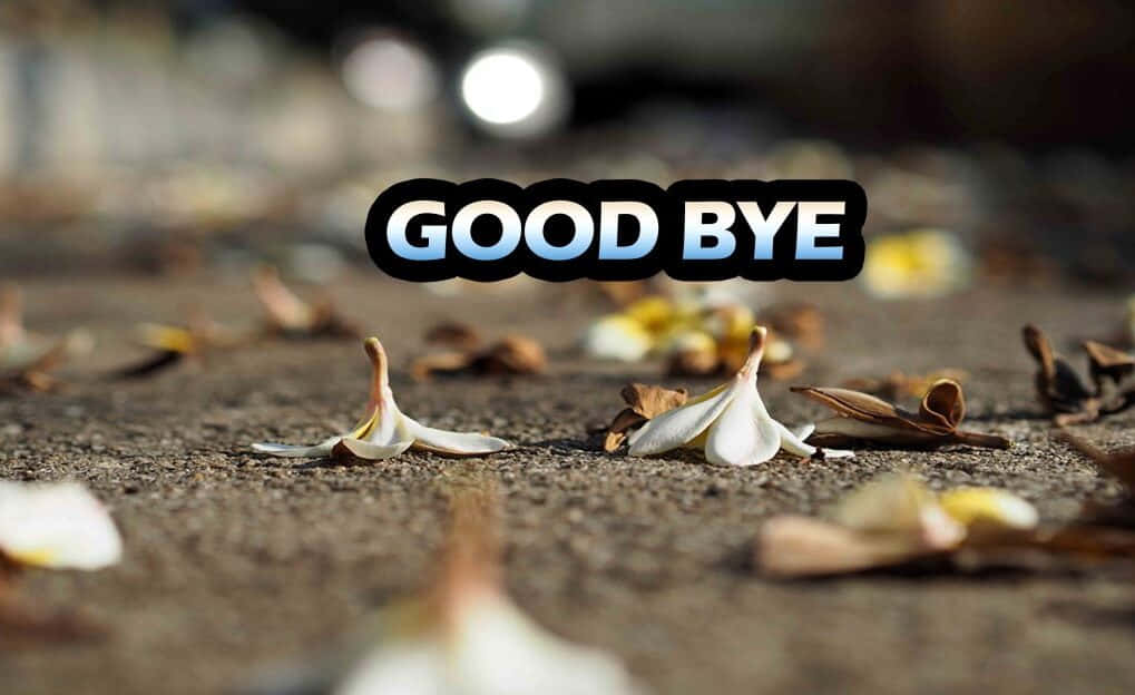   goodbye HD Photos  Wallpapers 0 Images  Page 1