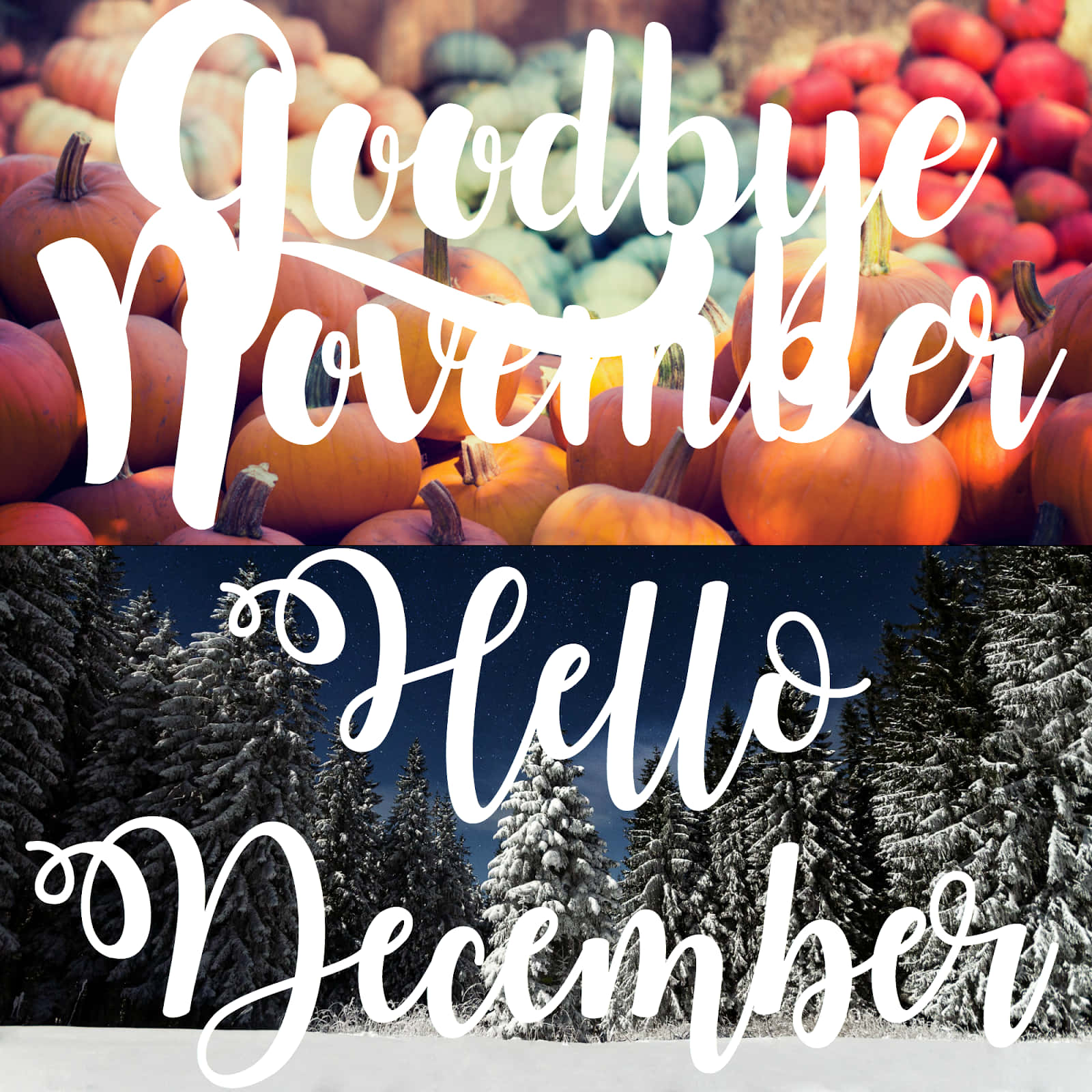 “Say Goodbye to November and Welcome December with Open Arms!” Wallpaper