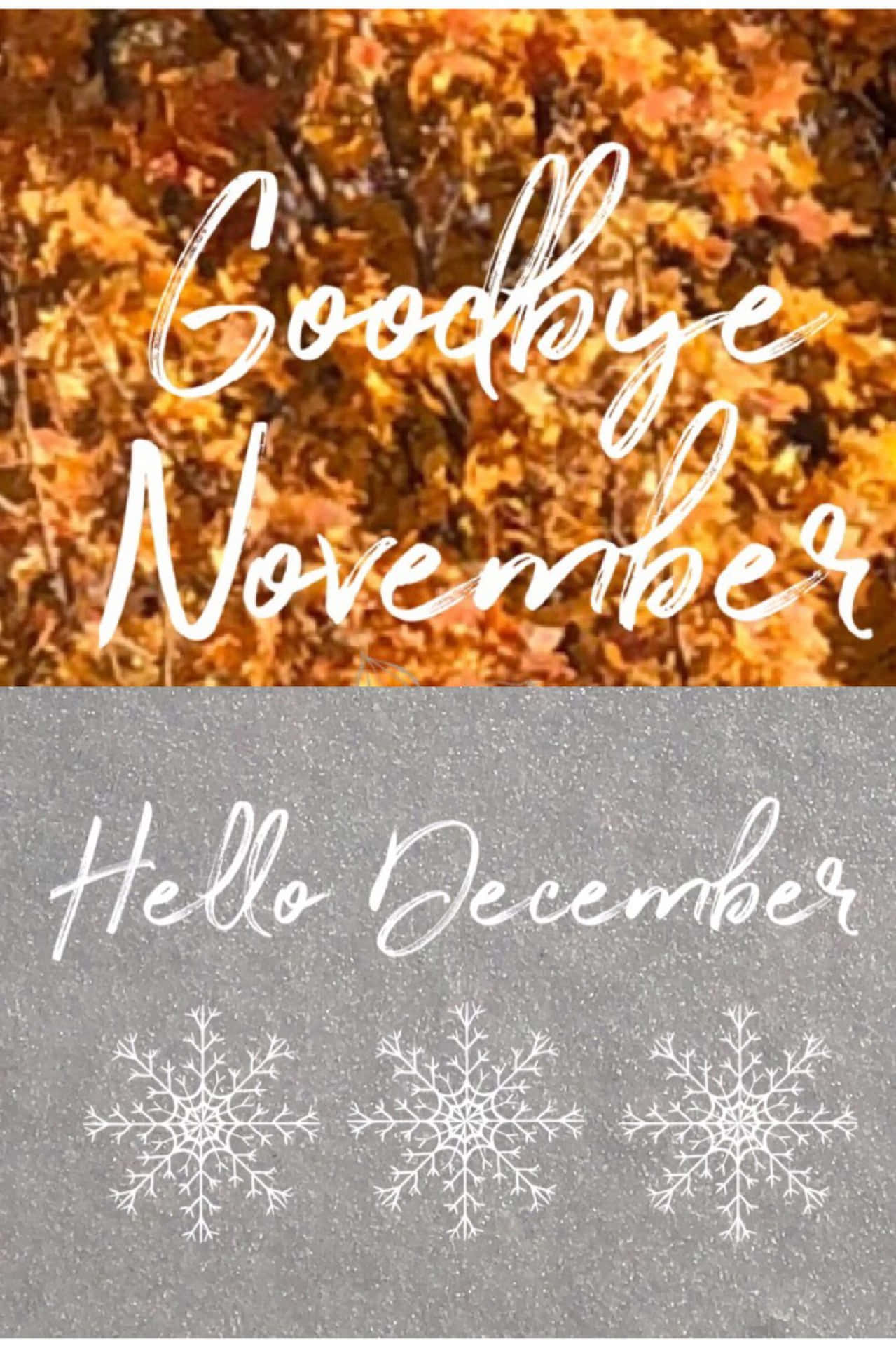 Goodbye November, Hello December! Wallpaper