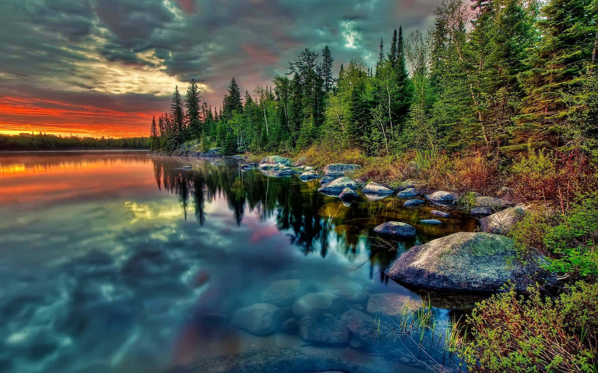 Pineforest Lake Su Google Desktop Sfondo