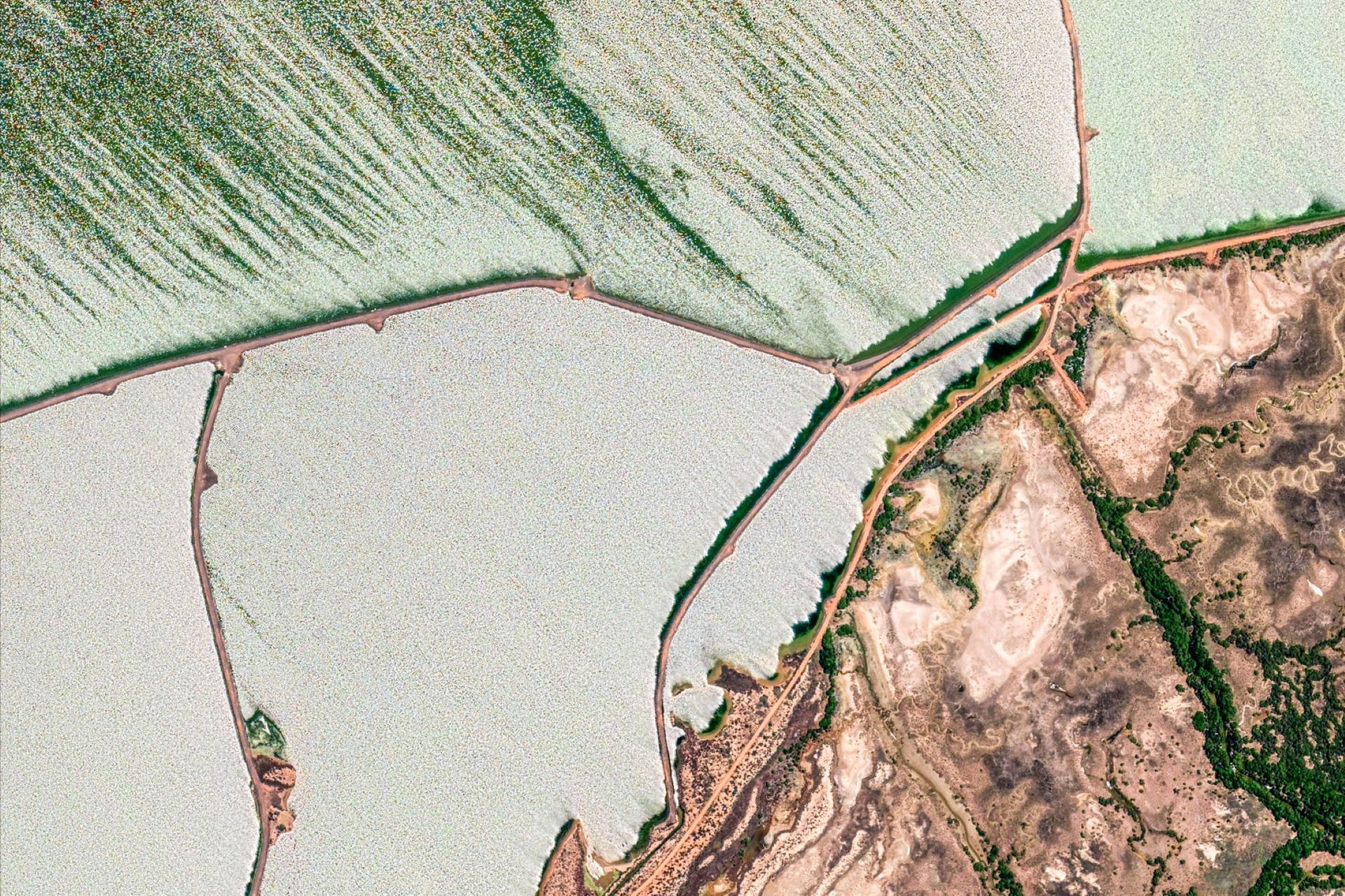 Google Earth False Bay Australia Sfondo